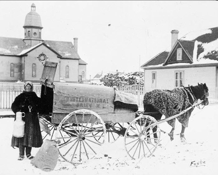 Horse Drawn Milk Cart